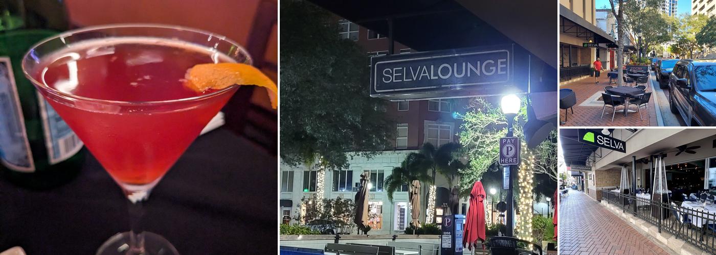 Selva Downtown Sarasota