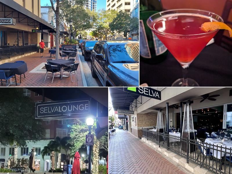 Selva Downtown Sarasota
