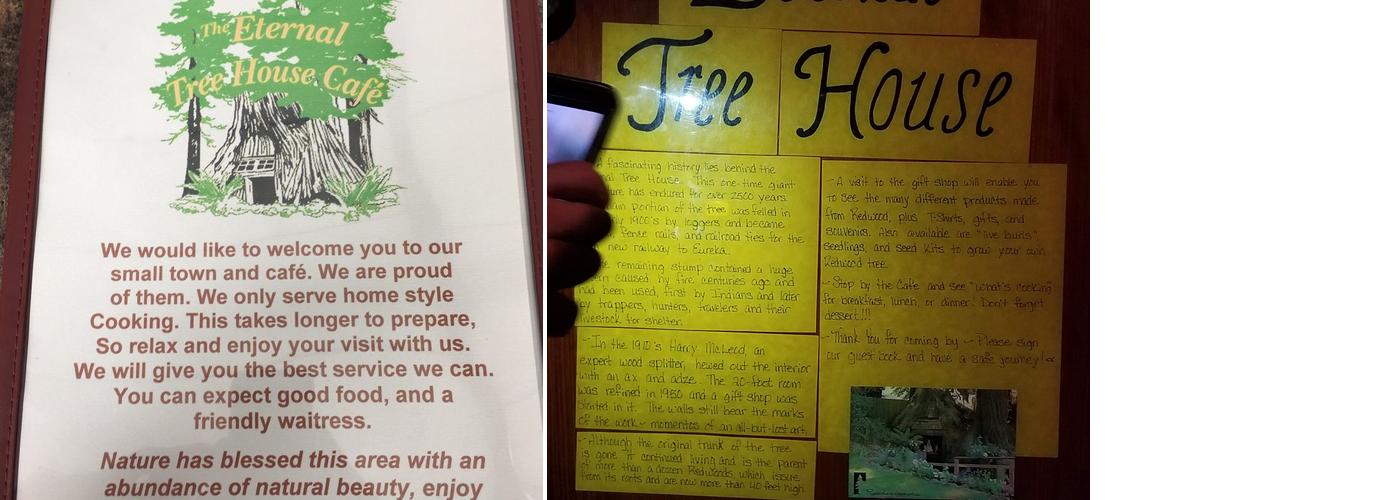 The Eternal Tree House Cafe Menu