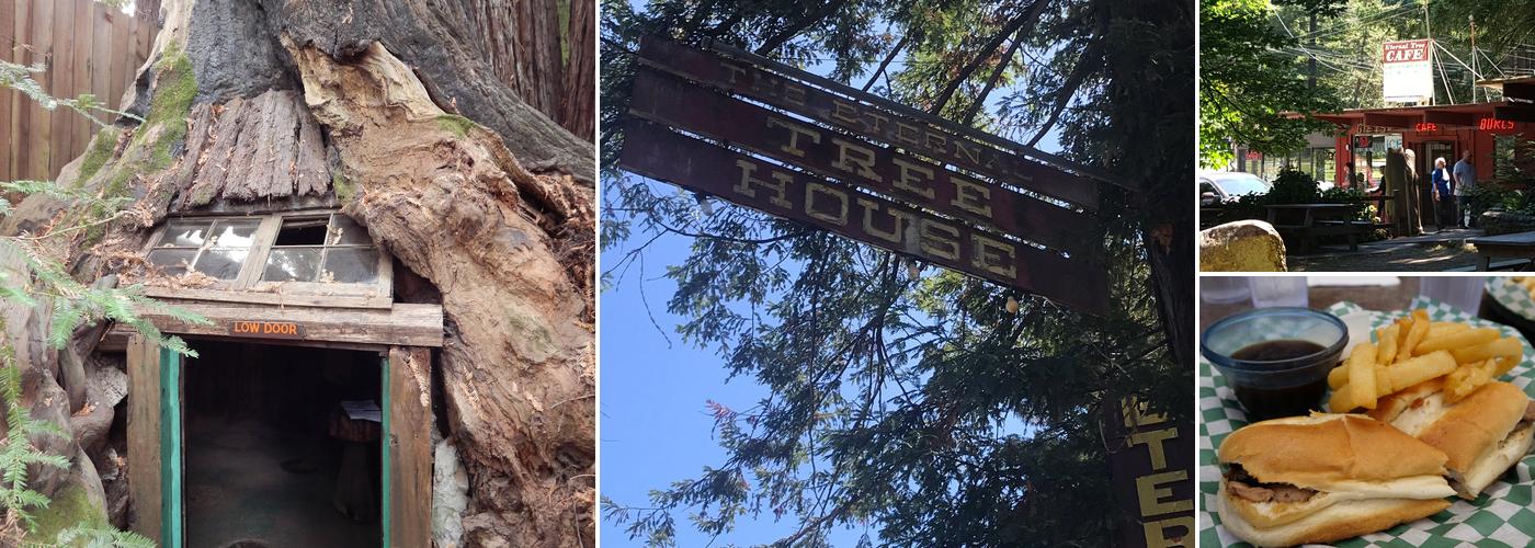 The Eternal Tree House Cafe