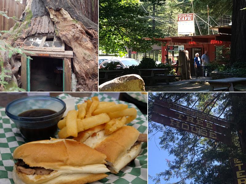 The Eternal Tree House Cafe