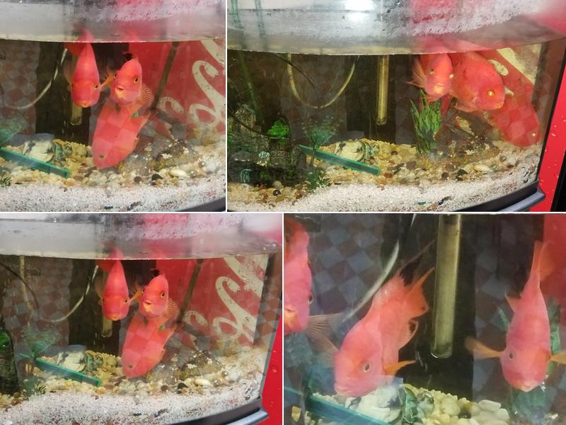 New Hing Fat 192 Gramatan Ave, Mt Vernon