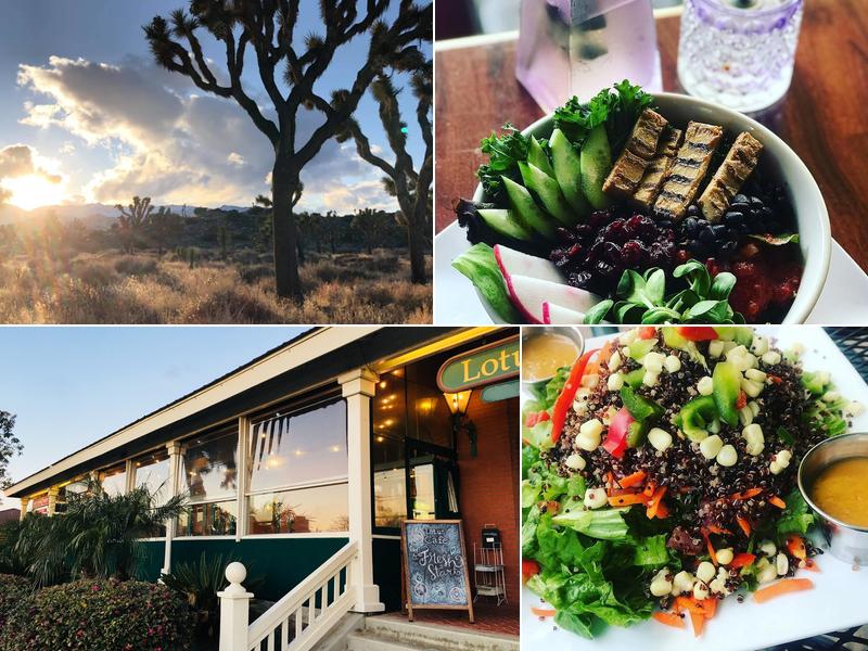 Lotus Cafe & Juice Bar 765 S Coast Hwy 101, Encinitas