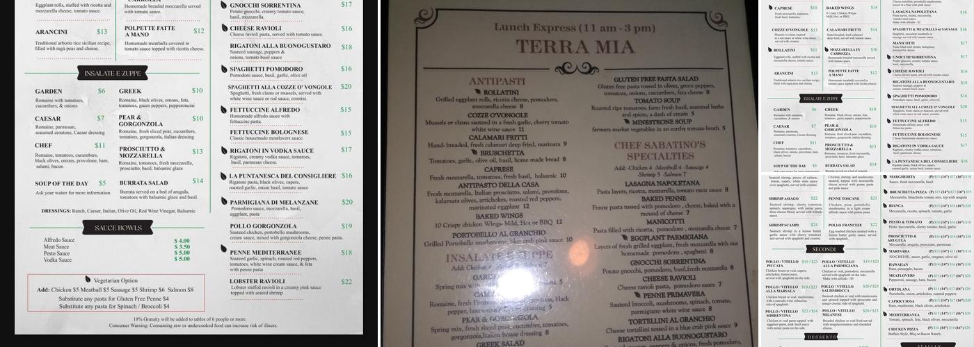 Terra Mia Italian Bistro & Pizzeria Menu