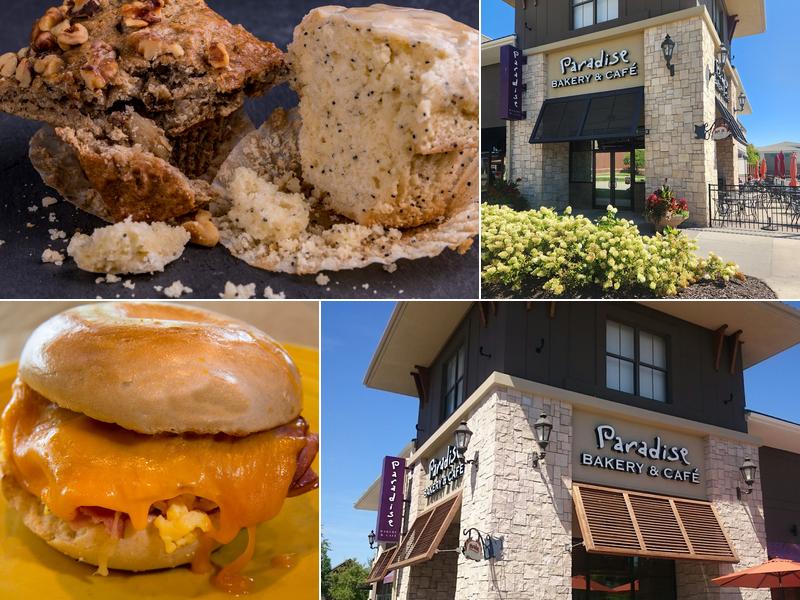 Paradise Bakery & Cafe Village Pointe