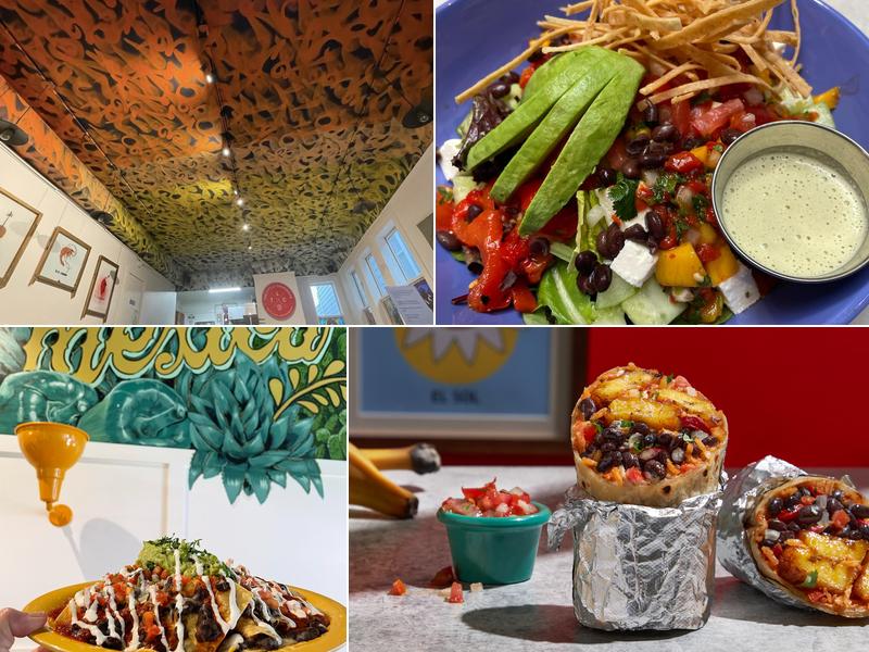 The Little Chihuahua