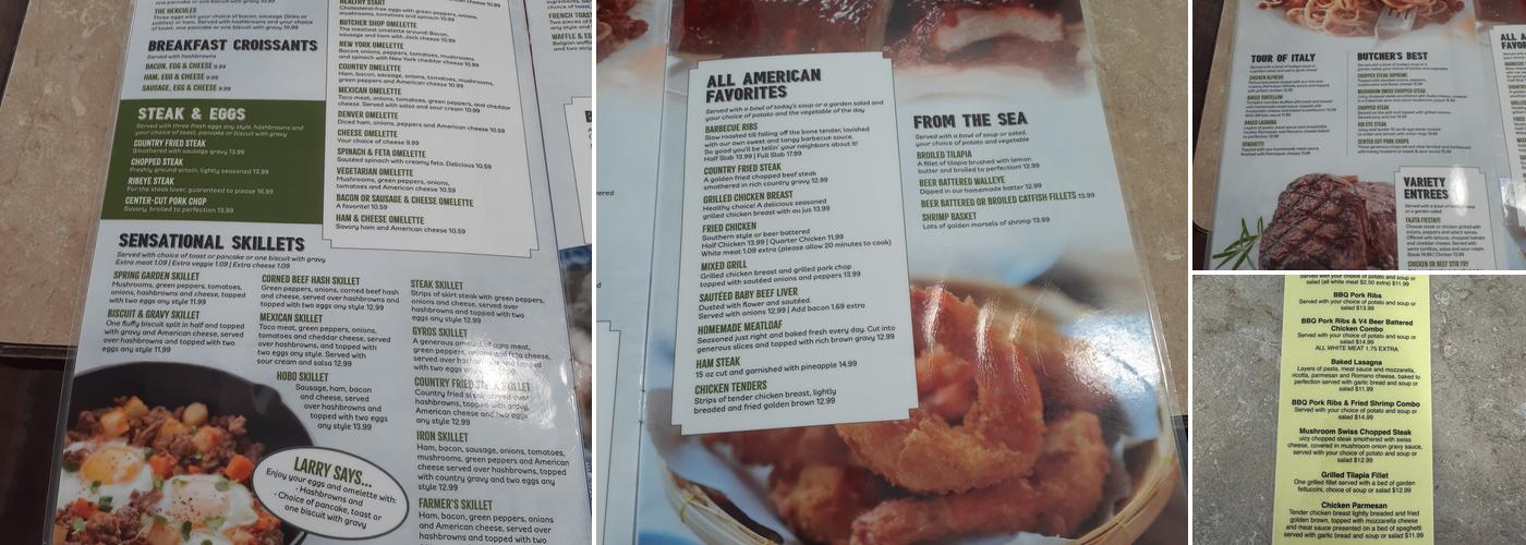 Spring Garden Restaurant Menu