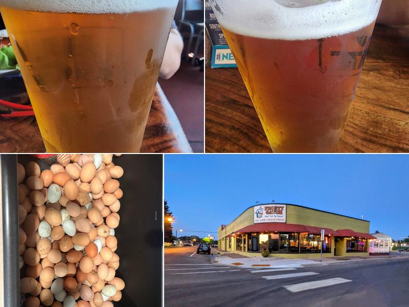 Frosty Gator 298 D St, Idaho Falls