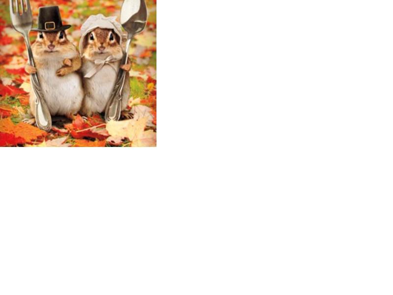 Papa Kelsey's Pizza & Subs