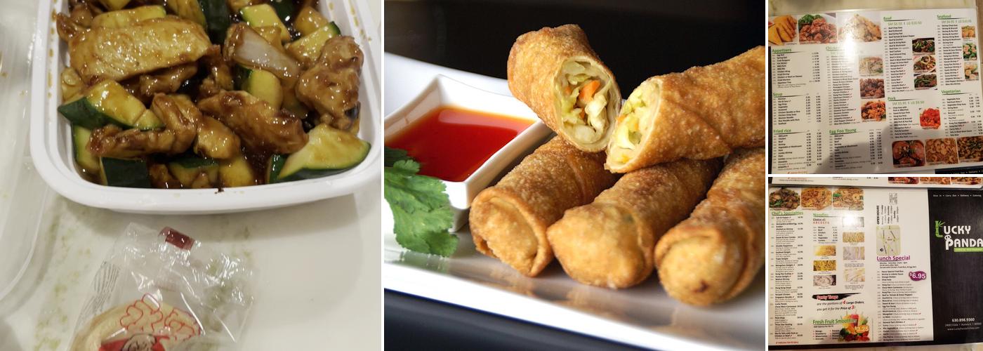 Lucky Panda Chinese Restaurant Menu