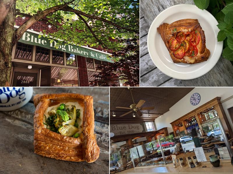 Blue Dog Bakery & Cafe