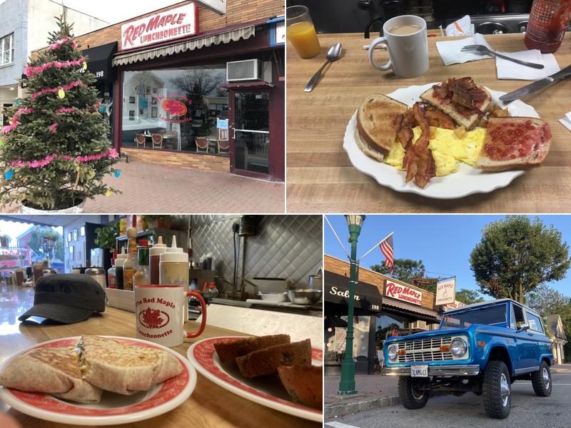 Red Maple 328 Harrington Ave, Closter