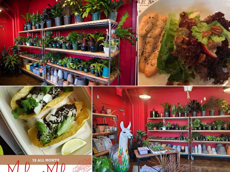 Mae Mae Café & Plant Shop 2417 Third Ave, Bronx