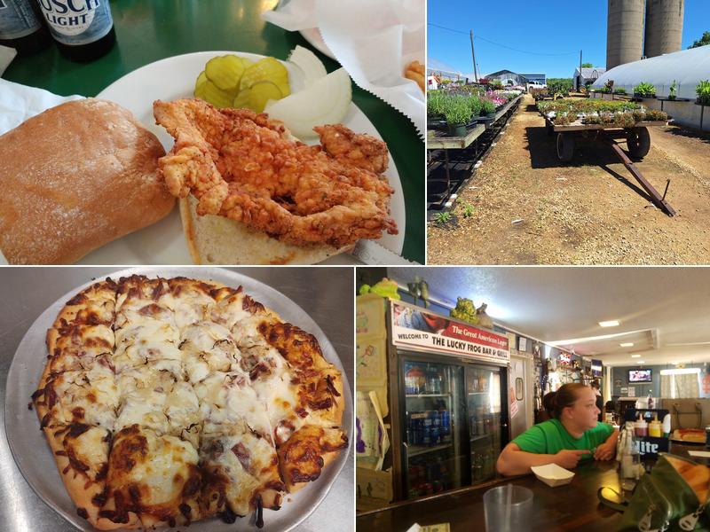 The Lucky Frog Bar and Grill