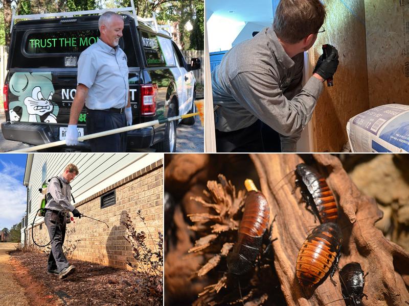 Northwest Exterminating