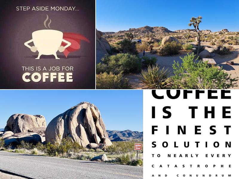 Jumbo Rocks Campground