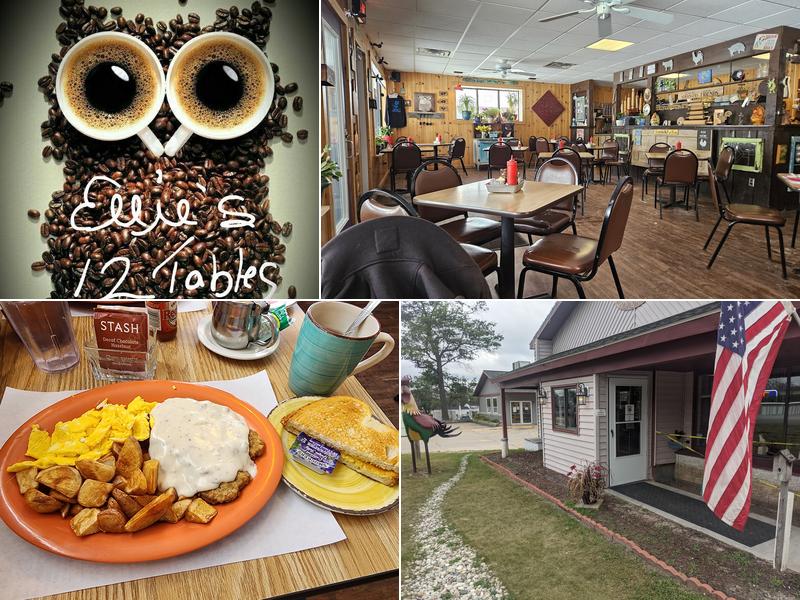 Ellies 12 Tables 611 S Morenci Ave, Mio