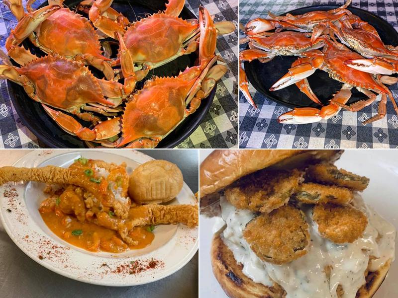 Wildcat Brothers at Gator Cove