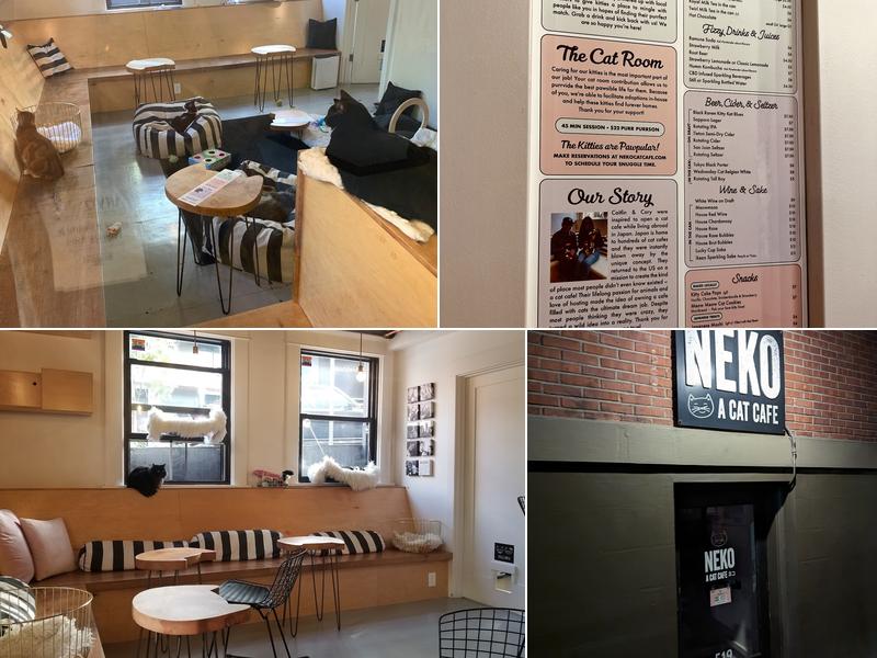 NEKO Cat Cafe Seattle