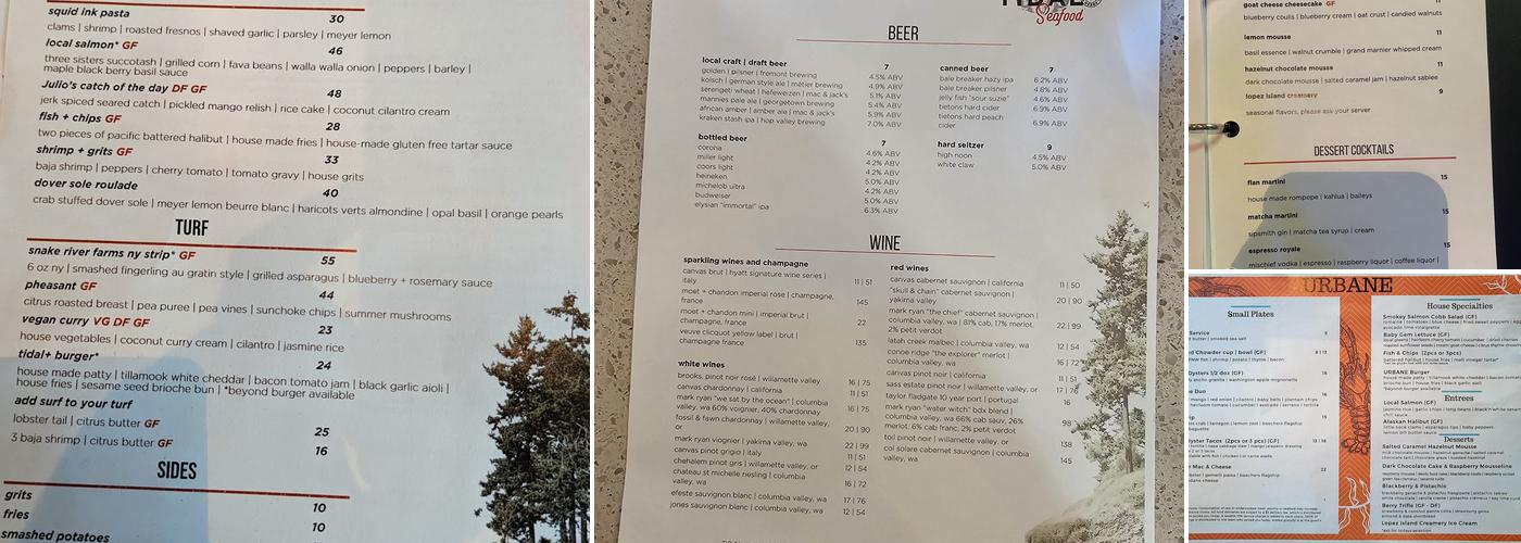 Tidal+ Menu