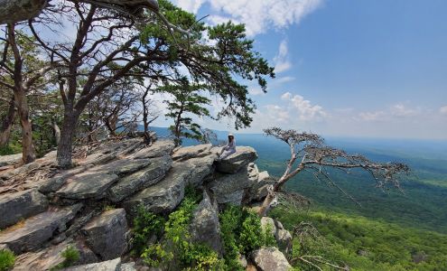 Cheaha State Park Delta