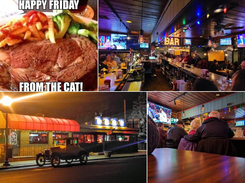 Catman Cafe 16 Old Colony Rd, Mansfield