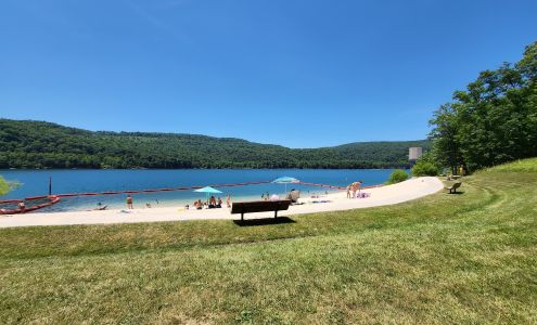 Howell Run Picnic area Elk Garden