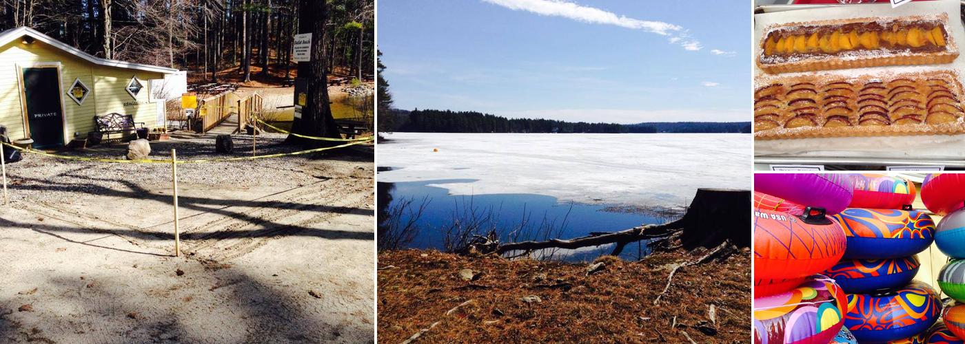 Bresca and the Honey Bee