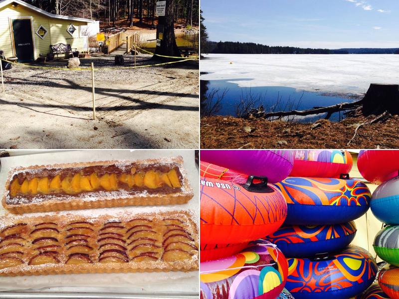 Bresca and the Honey Bee