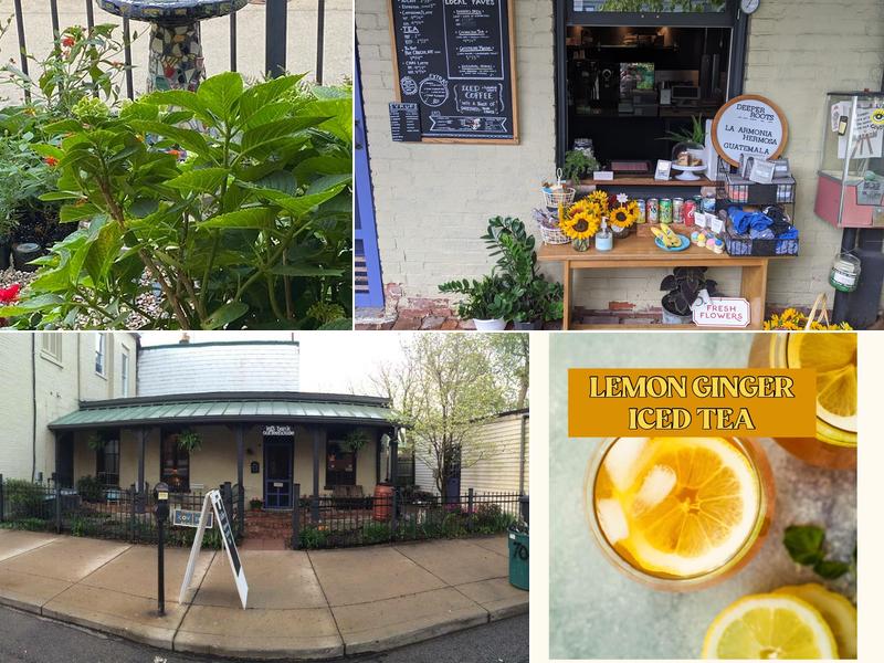 Left Bank Coffeehouse