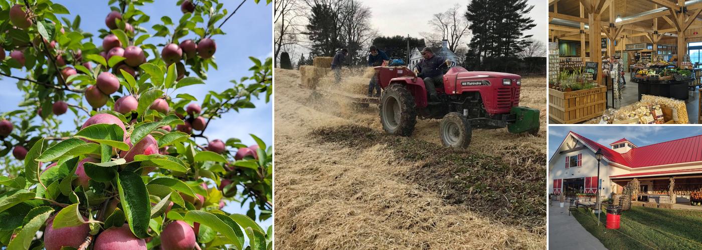 Applecrest Farm Orchards