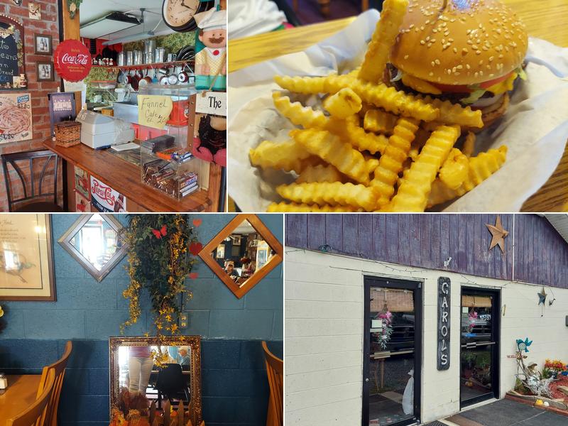 Carols 19 Patterson Mountain Rd, Meadow Bridge