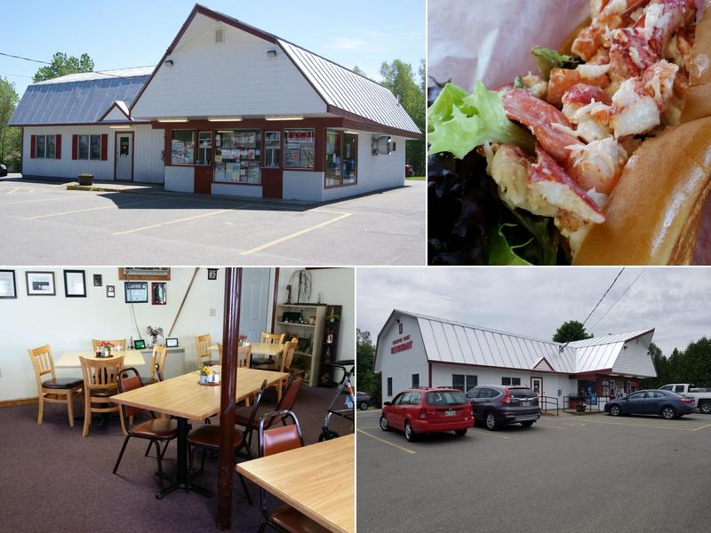 Frederick's Dar-I-Whip