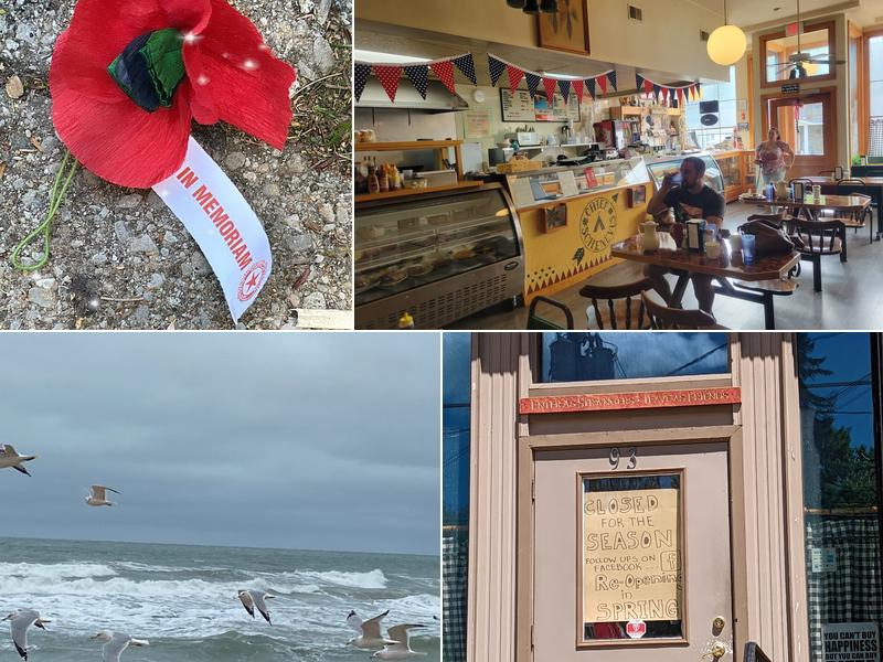 Chief Schenevus 93 Main St, Schenevus