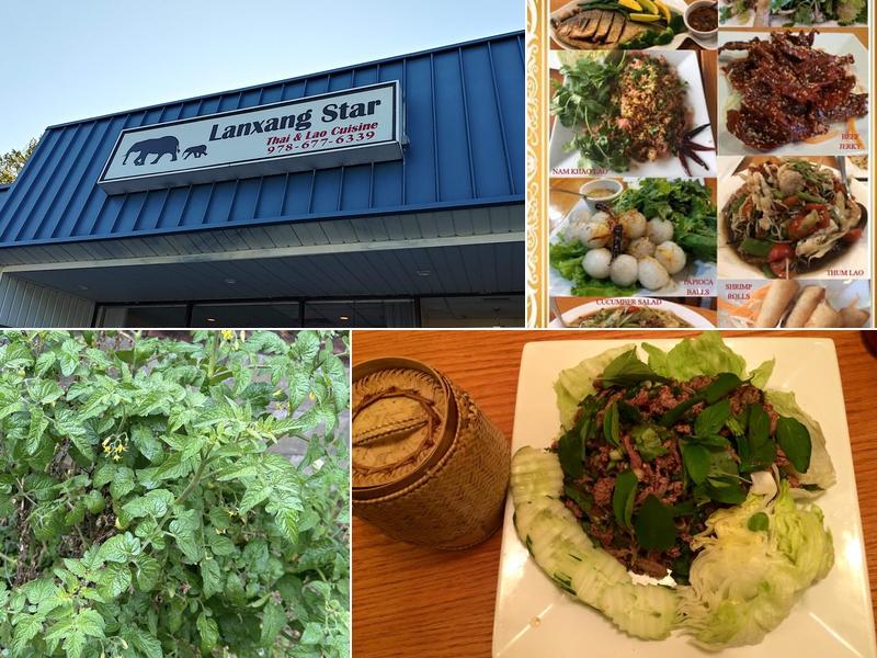 Lanxang Star Restaurant