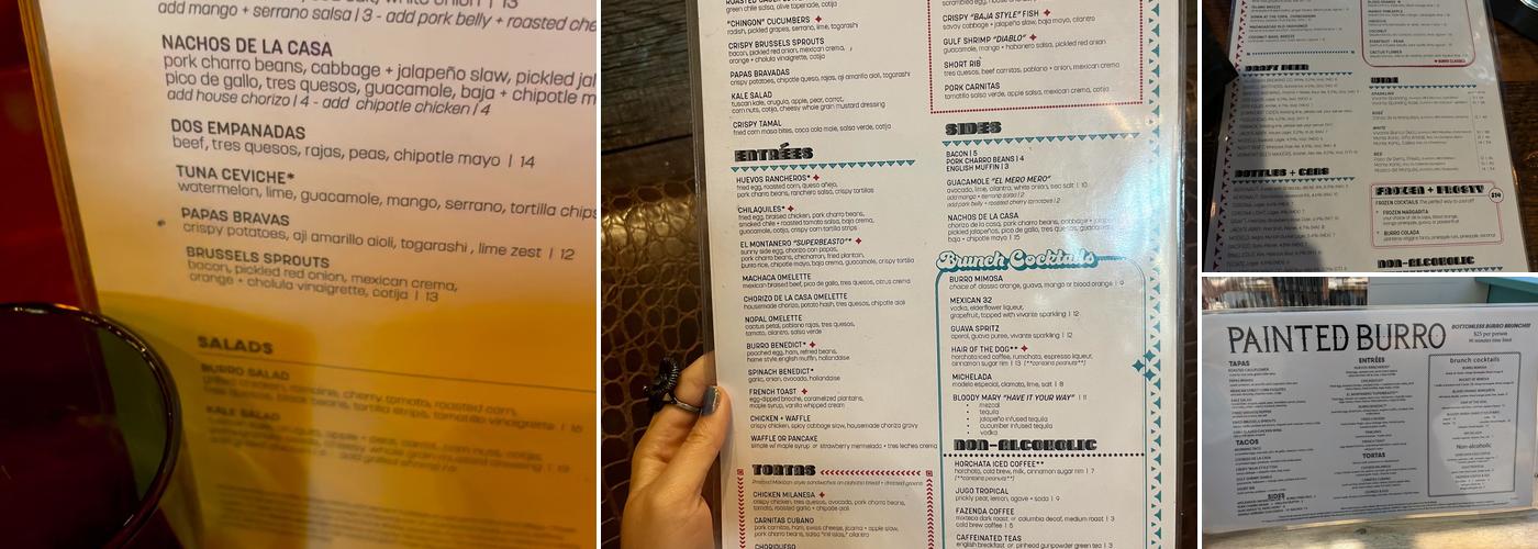 The Painted Burro Menu