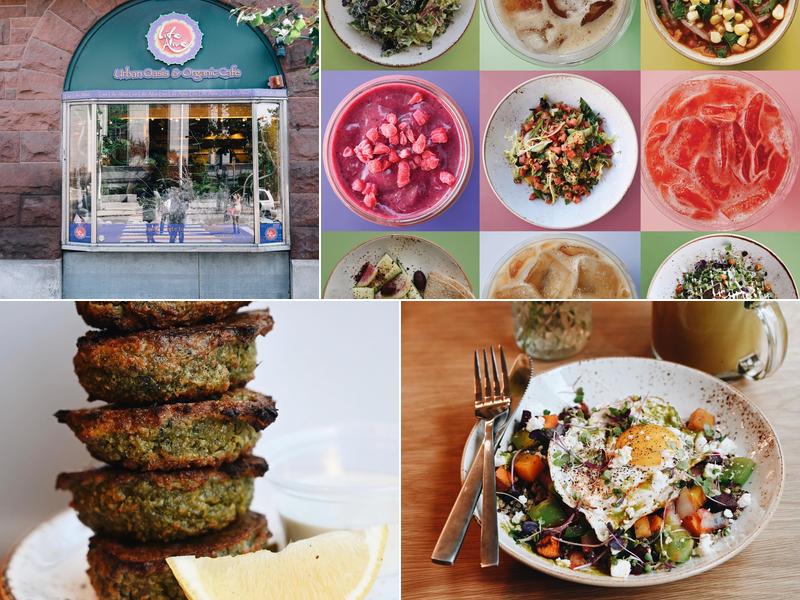 Life Alive Organic Cafe Central Square