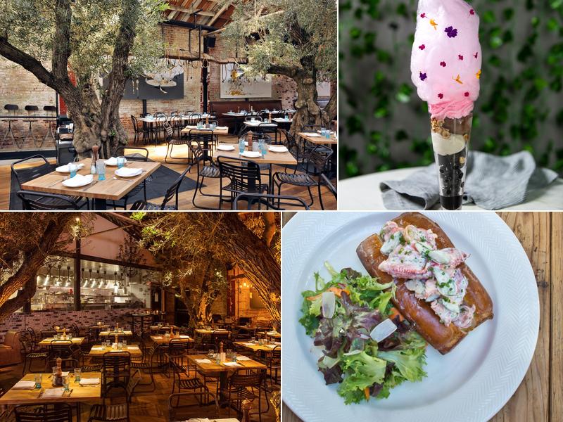 Herringbone La Jolla