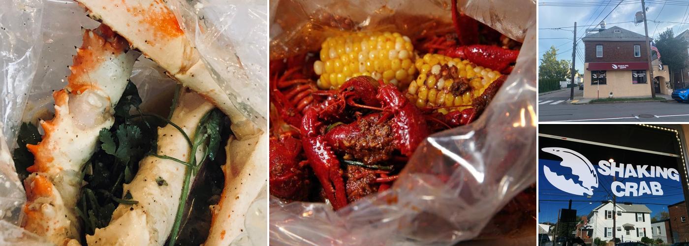 Shaking Crab (Newton)