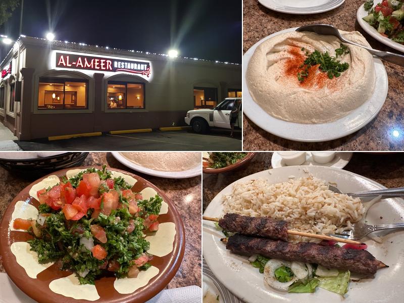 Al Ameer 12710 W Warren Ave, Dearborn