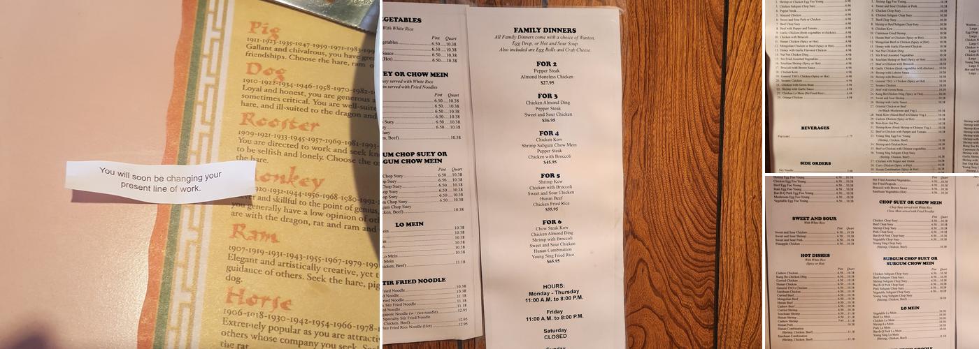Young Sing Chinese Restaurant Menu