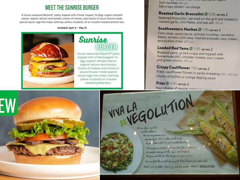 Veggie Grill Menu