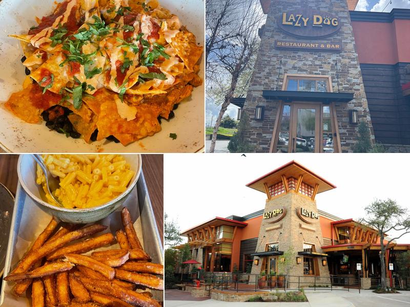 Lazy Dog Restaurant & Bar