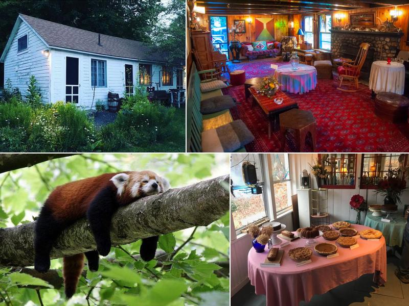 The Dream Away Lodge