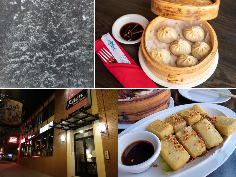 Rain Modern Chinese 259 Lark St, Albany