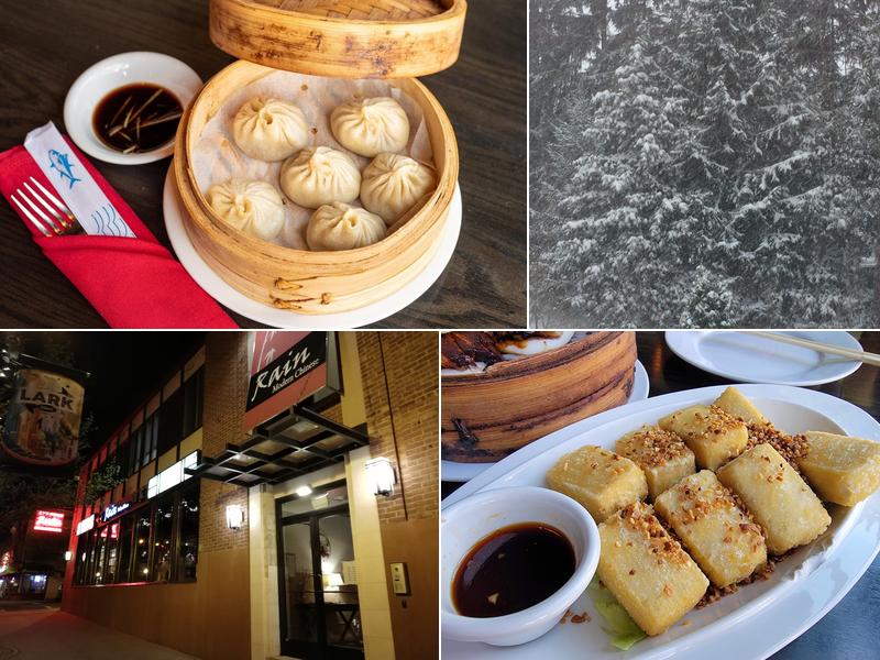 Rain Modern Chinese 259 Lark St, Albany