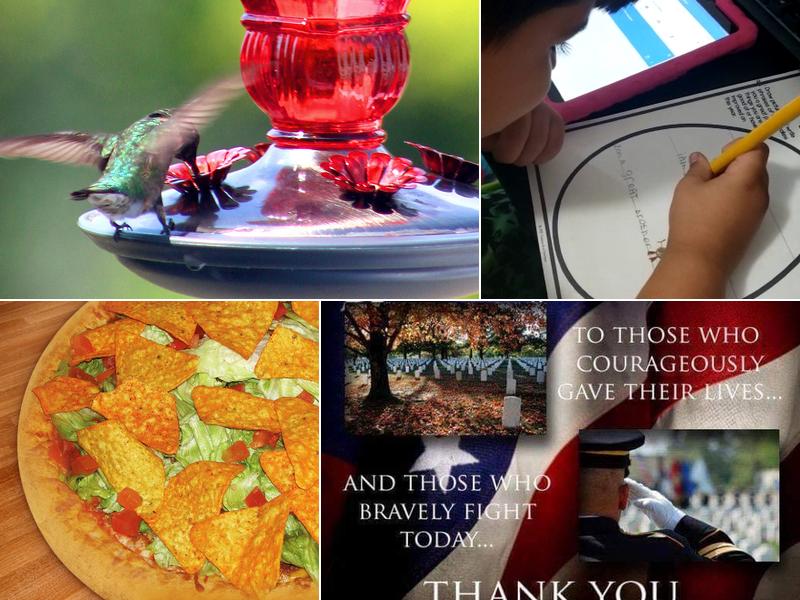 Northern Lights Pizza