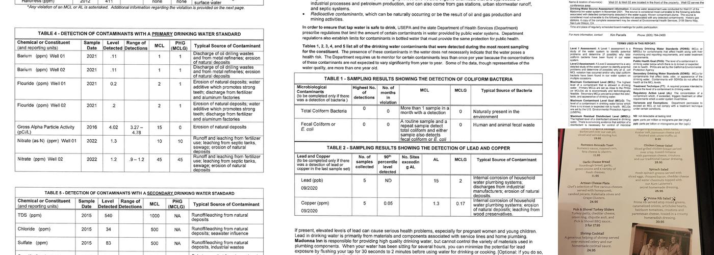 Alex Madonna’s Gold Rush Steak House Menu