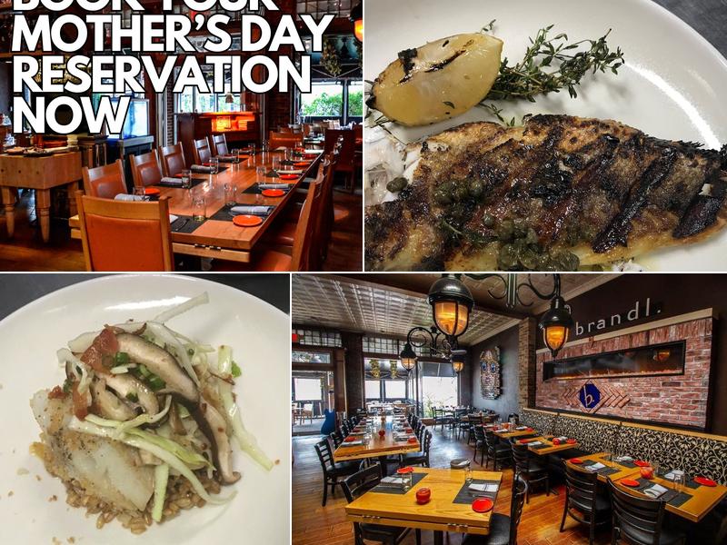 Brandl 703 Belmar Plaza, Belmar