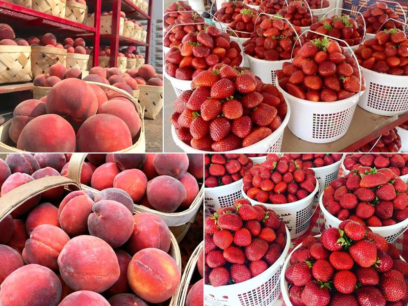 Cooley Springs Cafe 3711 SC-11, Chesnee